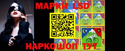 стаф Славгород