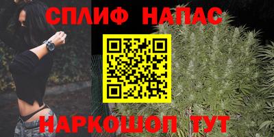 стаф Славгород