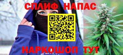 индика Славянск-на-Кубани