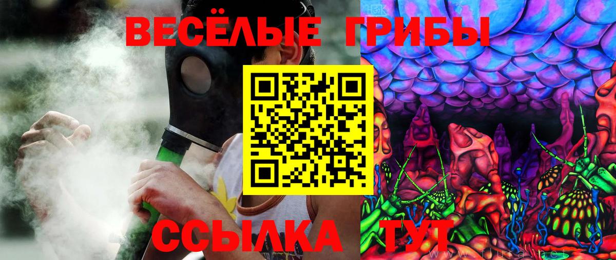 Псилоцибиновые грибы мухоморы  купить закладку  Вход с VPN  Ноябрьск  Псилоцибиновые грибы Psilocybine cubensis 